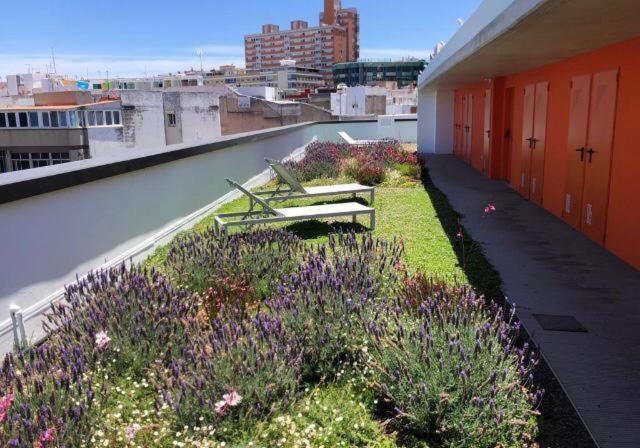 Appartement Zen Garden à Las Palmas de Gran Canaria Extérieur photo